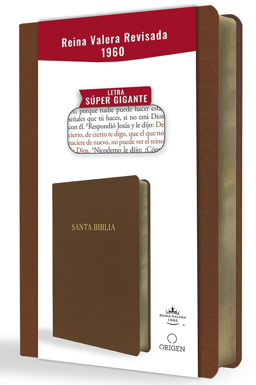 RVR 1960 Biblia Letra Súper Gigante Reina Valera 1960 9798890980755