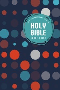 NIV Holy Bible Large Print Outreach Bible Kids (Rústico)