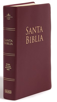 RVR 1960 Biblia Letra Grande Tamaño Manual (Vinilo, Rojo vino)