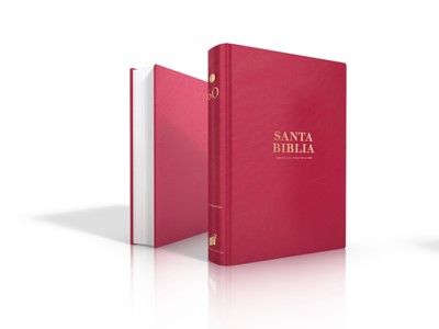 RVR 1960 Biblia Letra Grande con Concordancia (Piel, Rosa)