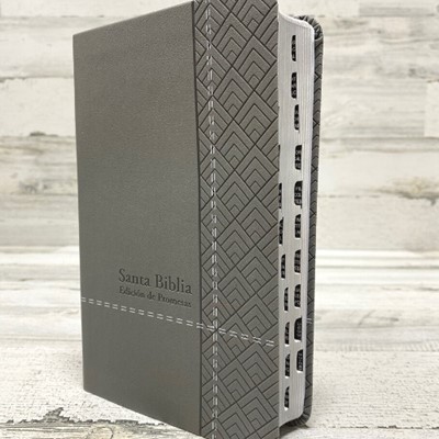 RVR 1960 Biblia de Promesas Letra Grande (Imitación piel, Tamaño manual, Índice, gris)