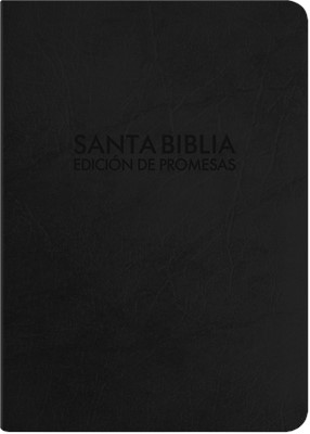 RVR 1960 Biblia de Promesas Letra Grande - Chica (Piel especial, negro, estuche flexible)