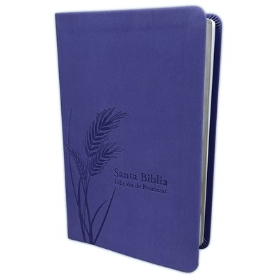 RVR 1960 Biblia de Promesas Letra Grande (Imitación Piel, Tamaño Manual, Lavanda)