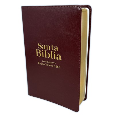 RVR 1960 Biblia Manual Letra Gigante (Imitación piel, café)