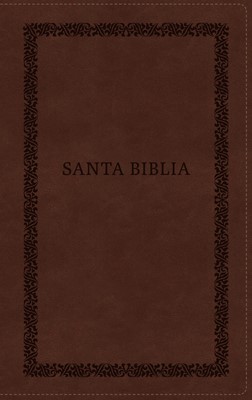 RVR 1960 Biblia Tierra Santa Letra Grande (Ultrafina, color café, zíper)