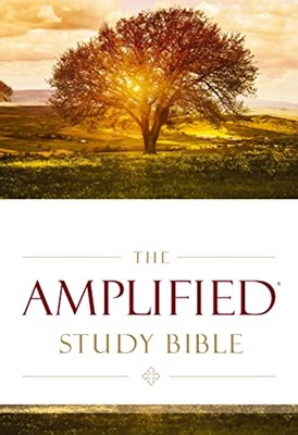 The Amplified Study Bible (Tapa Dura)