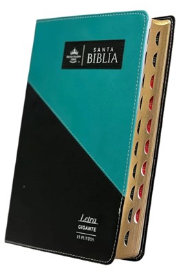 RVR 1960 Biblia Triangular Letra Gigante (Imit. piel, alta calidad, índice negro/turquesa)