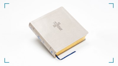 NTV Biblia QR Principios para Vivir - Arena