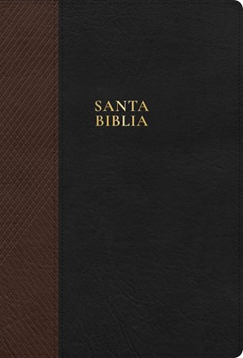 RVR 1960 Biblia Letra Súper Gigante