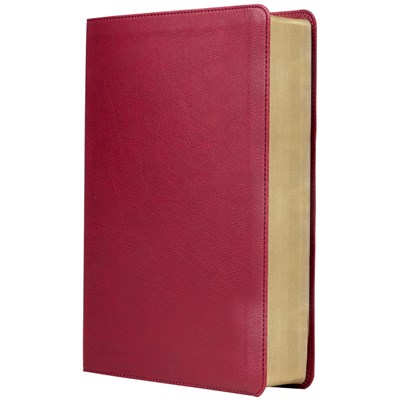 RVR Biblia de Estudio Trasfondo Cultural (Simi Piel, Rojo vino)
