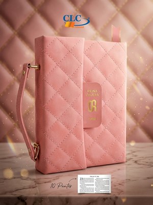RVR 1960 Biblia Deluxe Cartera con Broche (Imitación Piel, Rosa)