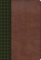 RVR 1960 Biblia de Estudio Scofield (Imitación Piel, Verde Oscuro Castaño)