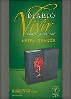 NTV Biblia de Estudio Del Diario Vivir Letra Grande con Índice (Tapa Dura - Tela Gris - Letra Roja)