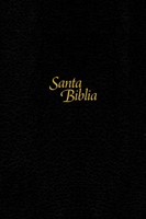 NTV Biblia Edición Personal Letra Grande (Tapa Dura Color Negro)