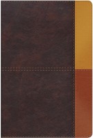 RVR 1960 Biblia de Estudio ArcoIris (Símil piel, terracota)