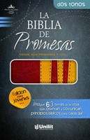 RV1960 Biblia De Promesa Juvenil (Imitación Piel Dos tonos)