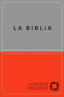 NBV Biblia Para Grupos Pequeños (Lujo Naranja Gris)