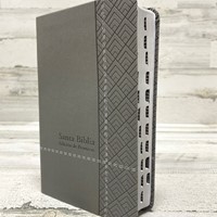 RVR 1960 Biblia de Promesas Letra Grande (Imitación piel, Tamaño manual, Índice, gris)