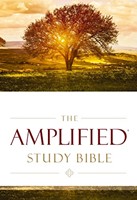 The Amplified Study Bible (Tapa Dura)
