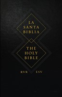 RVR 1960 / ESV Biblia Bilingue (Imitación piel, negro)