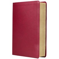 RVR Biblia de Estudio Trasfondo Cultural