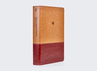 NBLA Biblia Cronológica de Estudio (Imitación Piel, Interior a cuatro colores, Café)