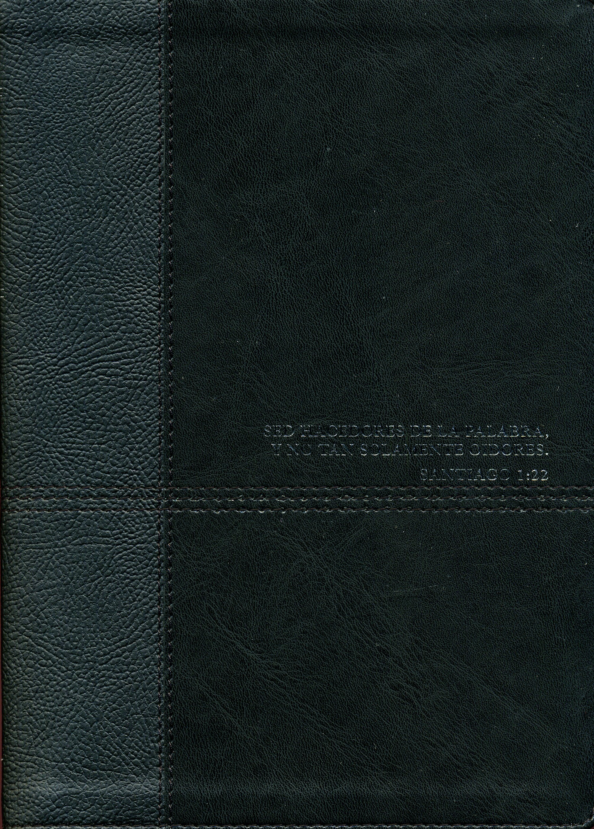 RVR 1960 Biblia de Estudio Diario Vivir