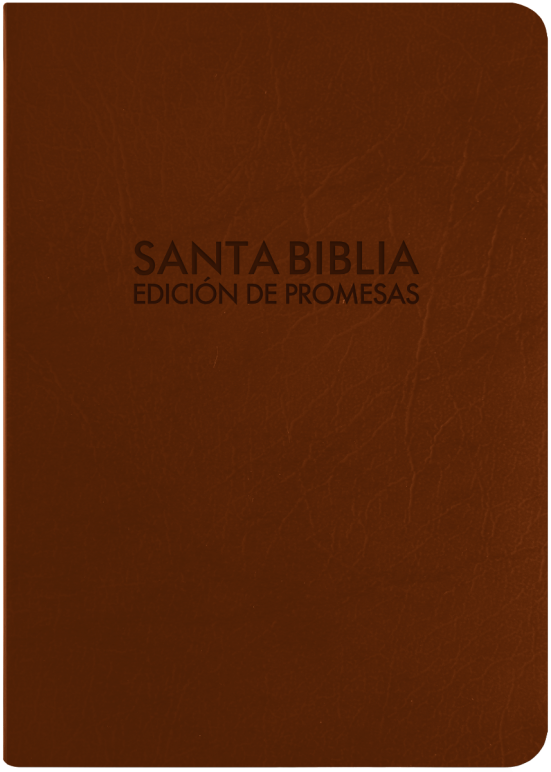 RVR 1960 Biblia de Promesas Letra Grande - Chica