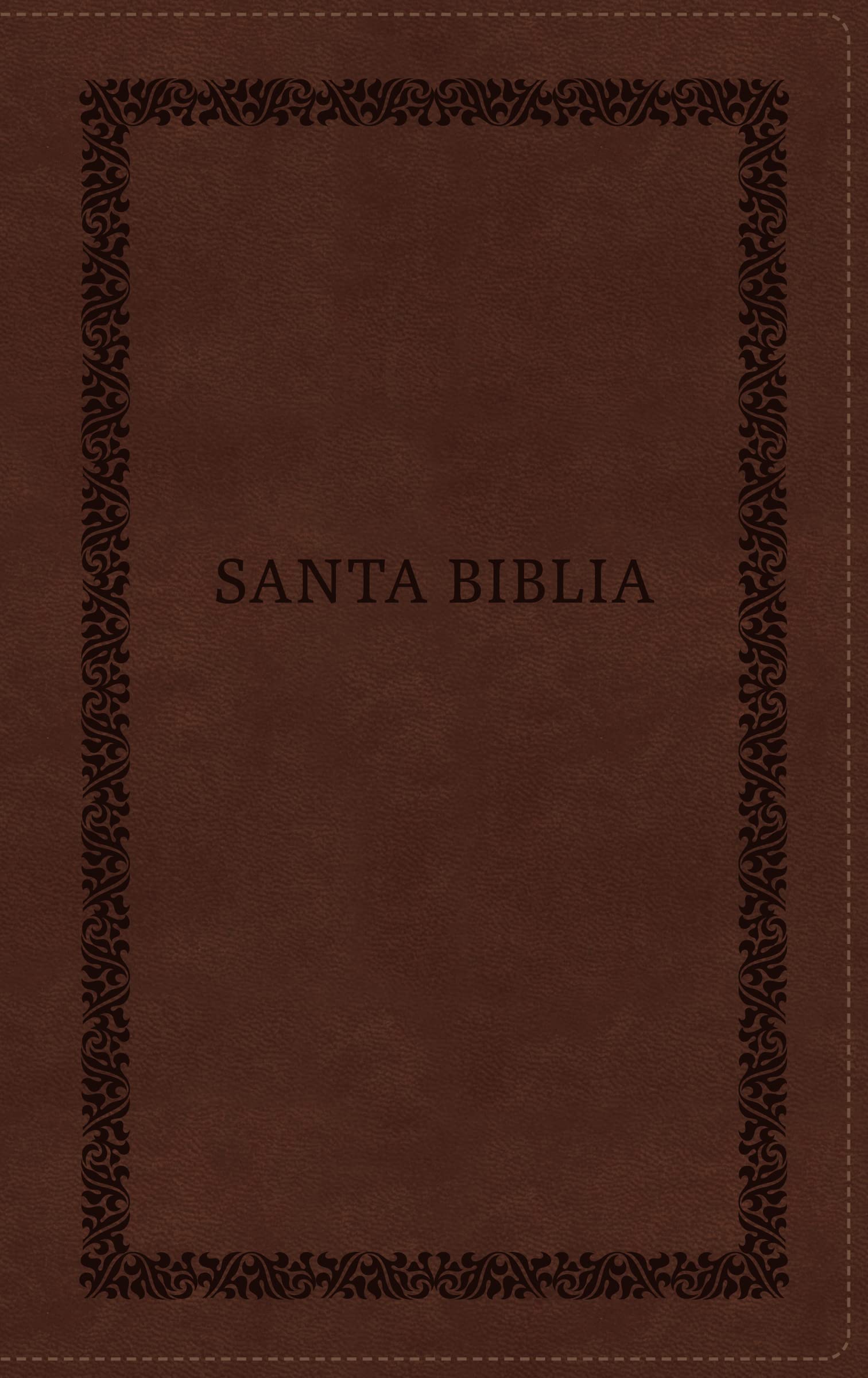 RVR 1960 Biblia Tierra Santa Letra Grande