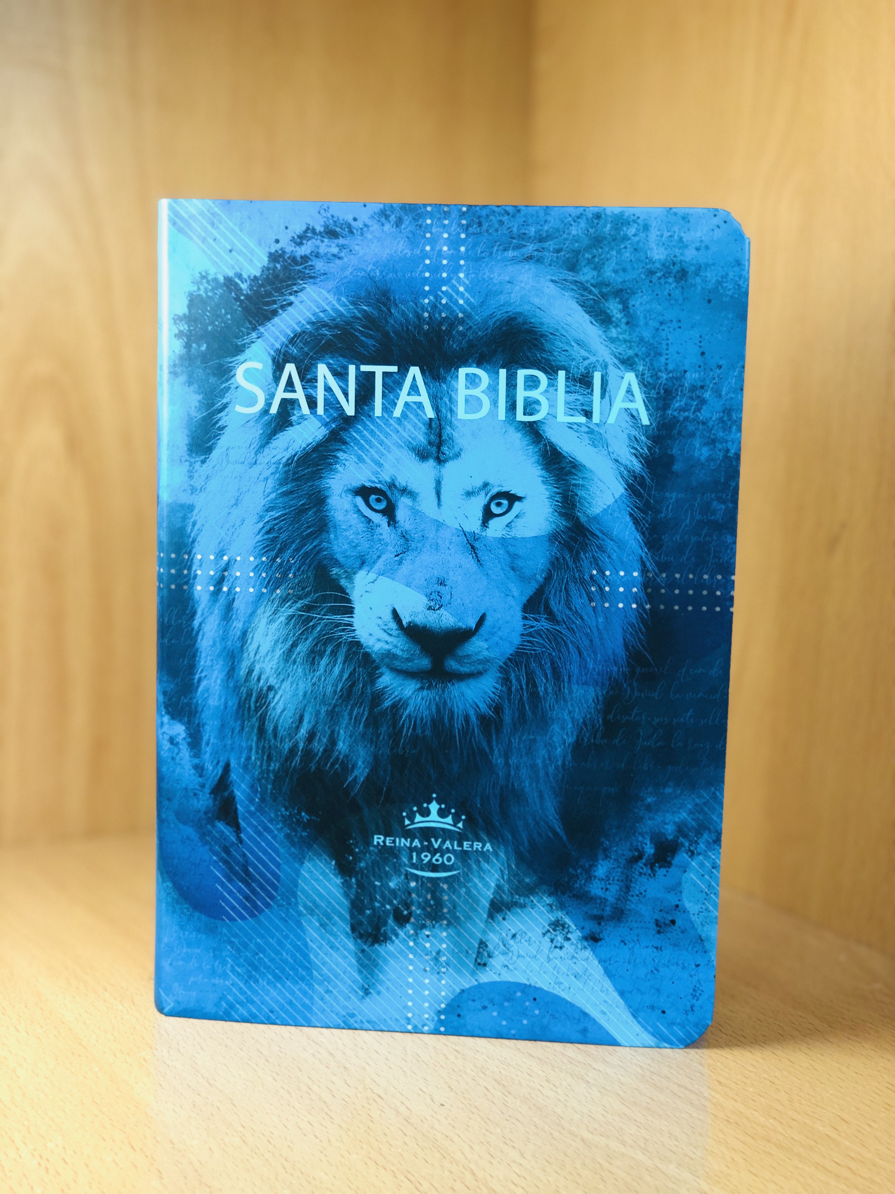 RVR 1960 Biblia Letra Grande León