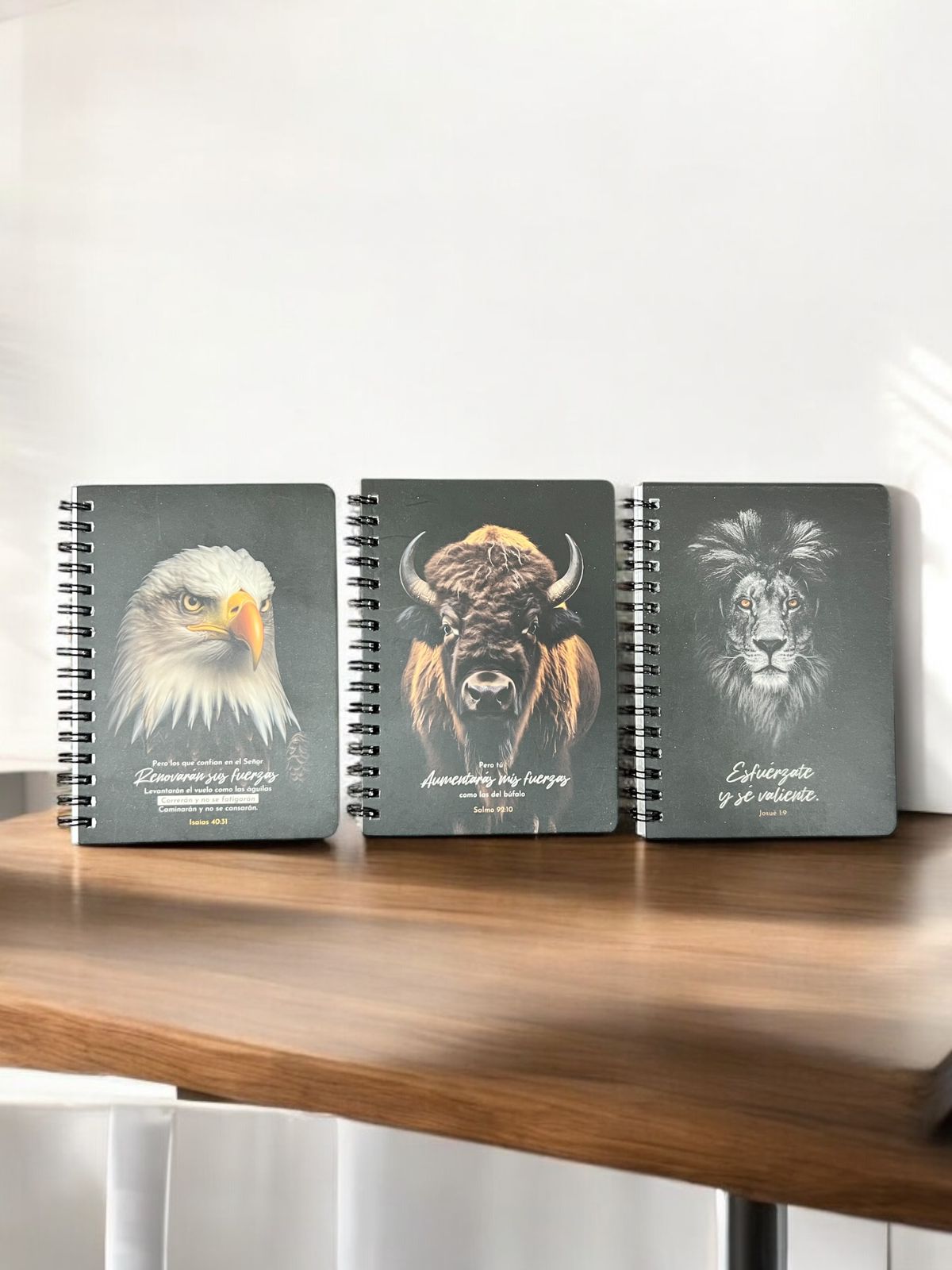 Libreta de Rayas (Pack x 3)
