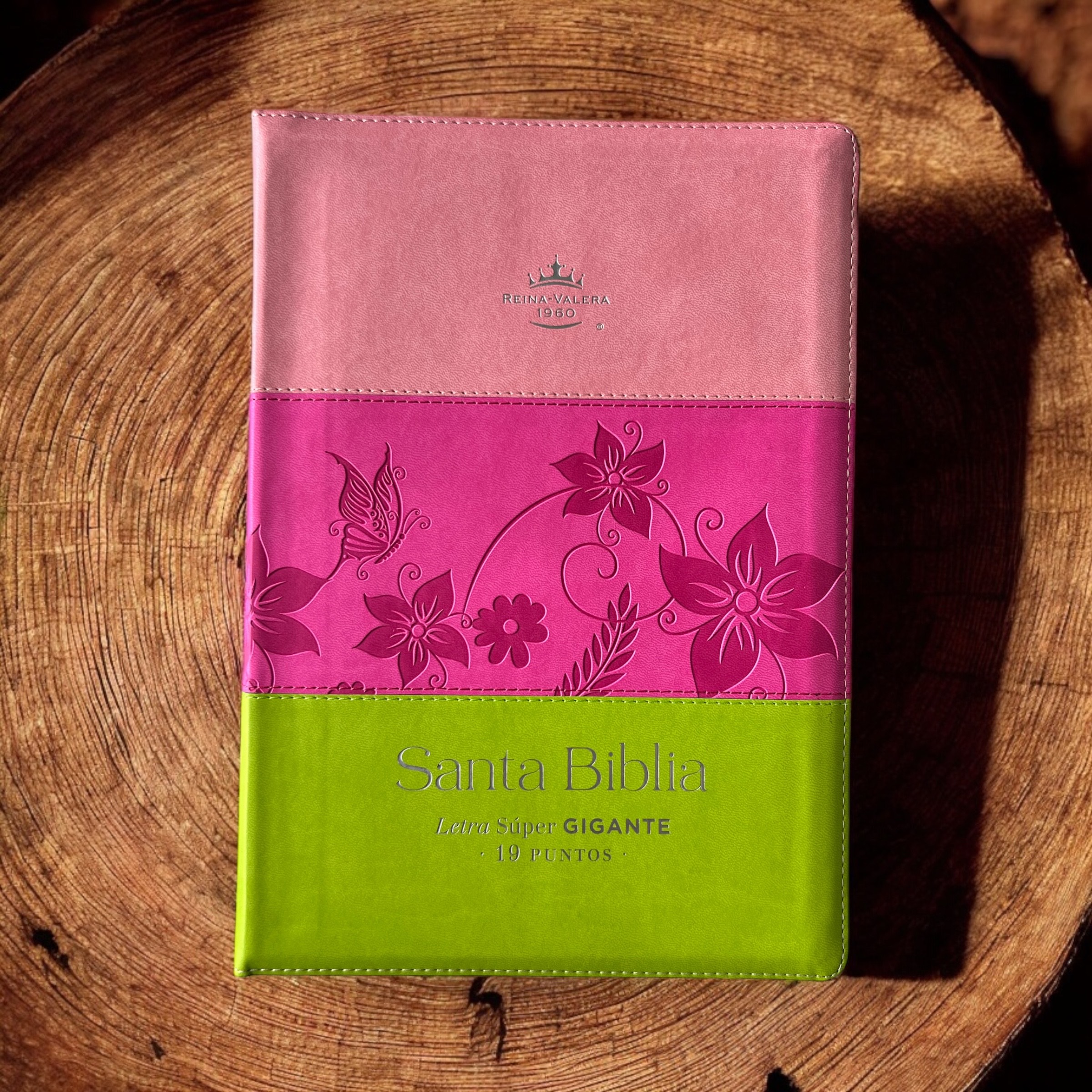 RVR1960 Biblia Tricolor Letra Súper Gigante