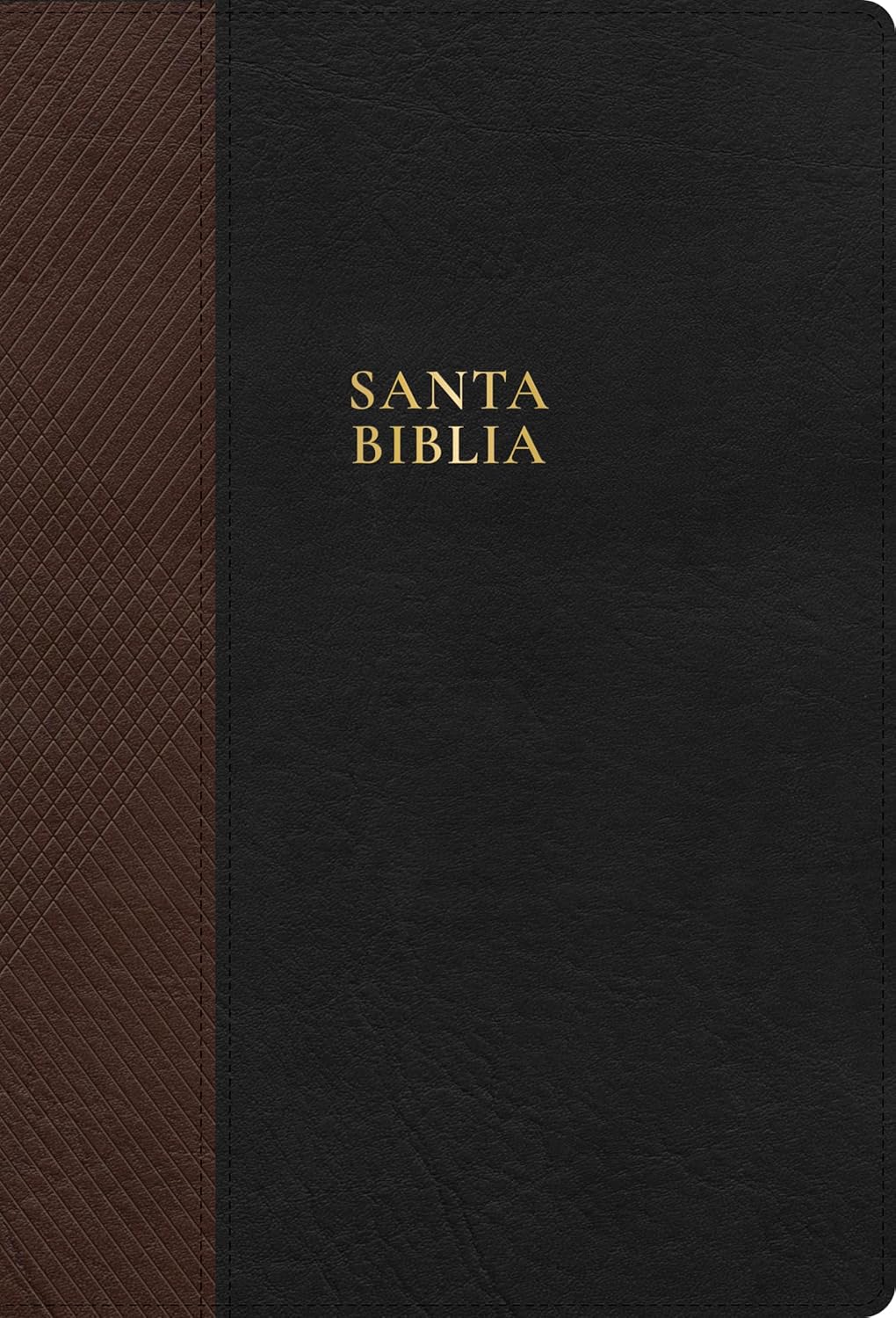 RVR 1960 Biblia Letra Súper Gigante