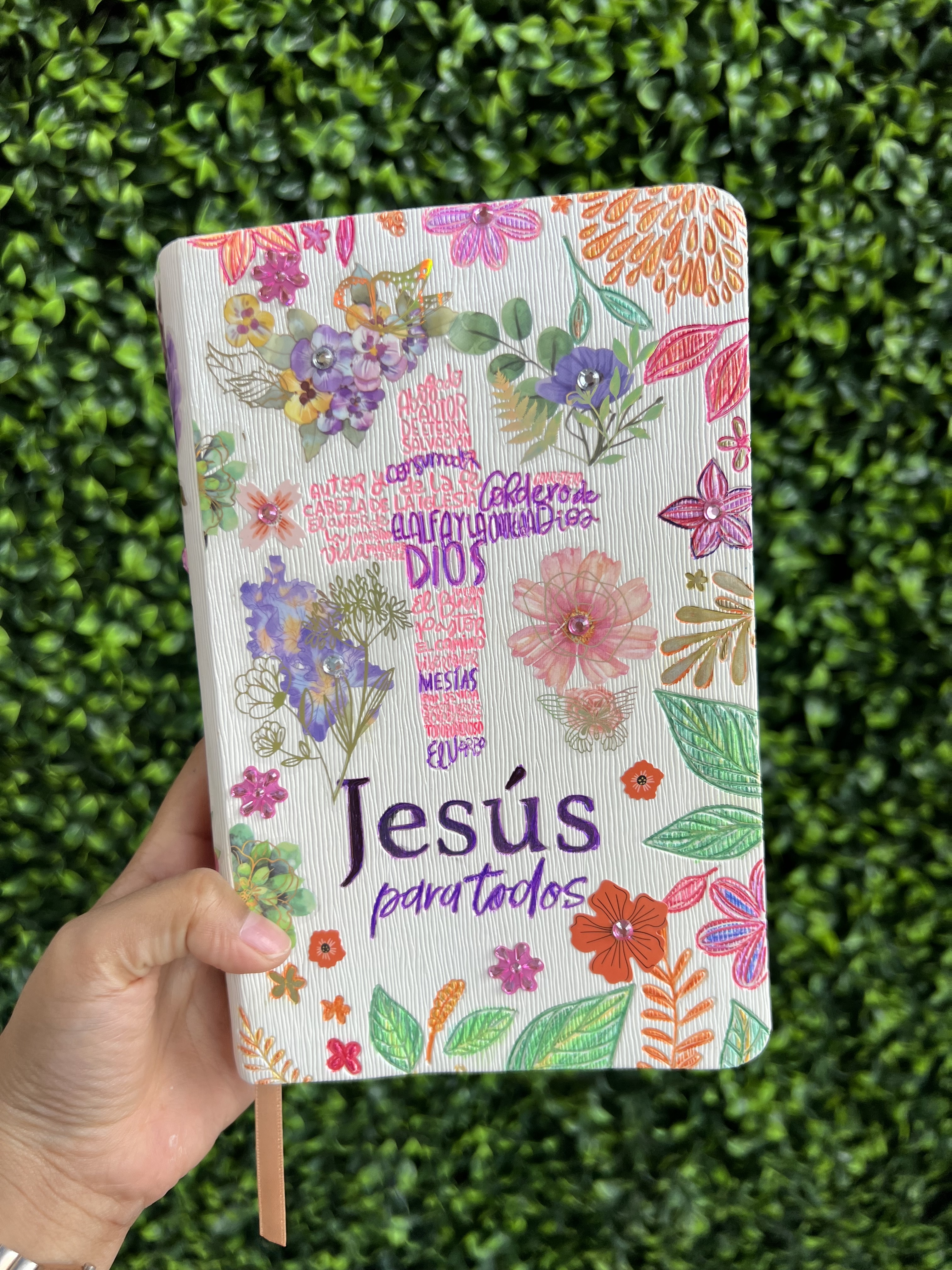 Biblia Jesús para Todos Ilustrada por Evelyn Cedeño Leal
