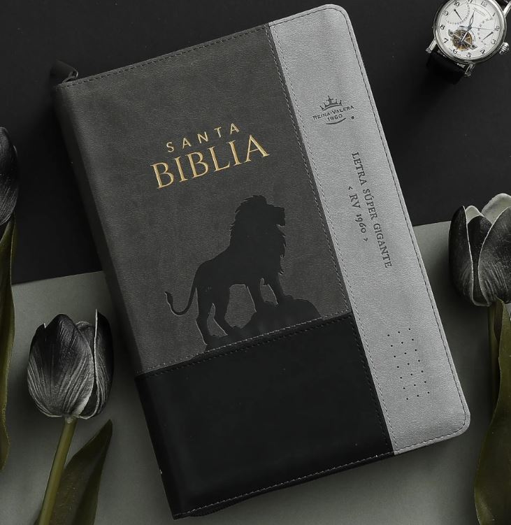 RVR 1960 Biblia Abba Inspiración León