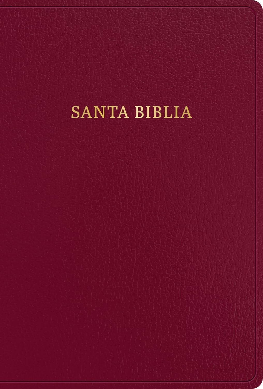 RVR 1960 Biblia Letra Súper Gigante