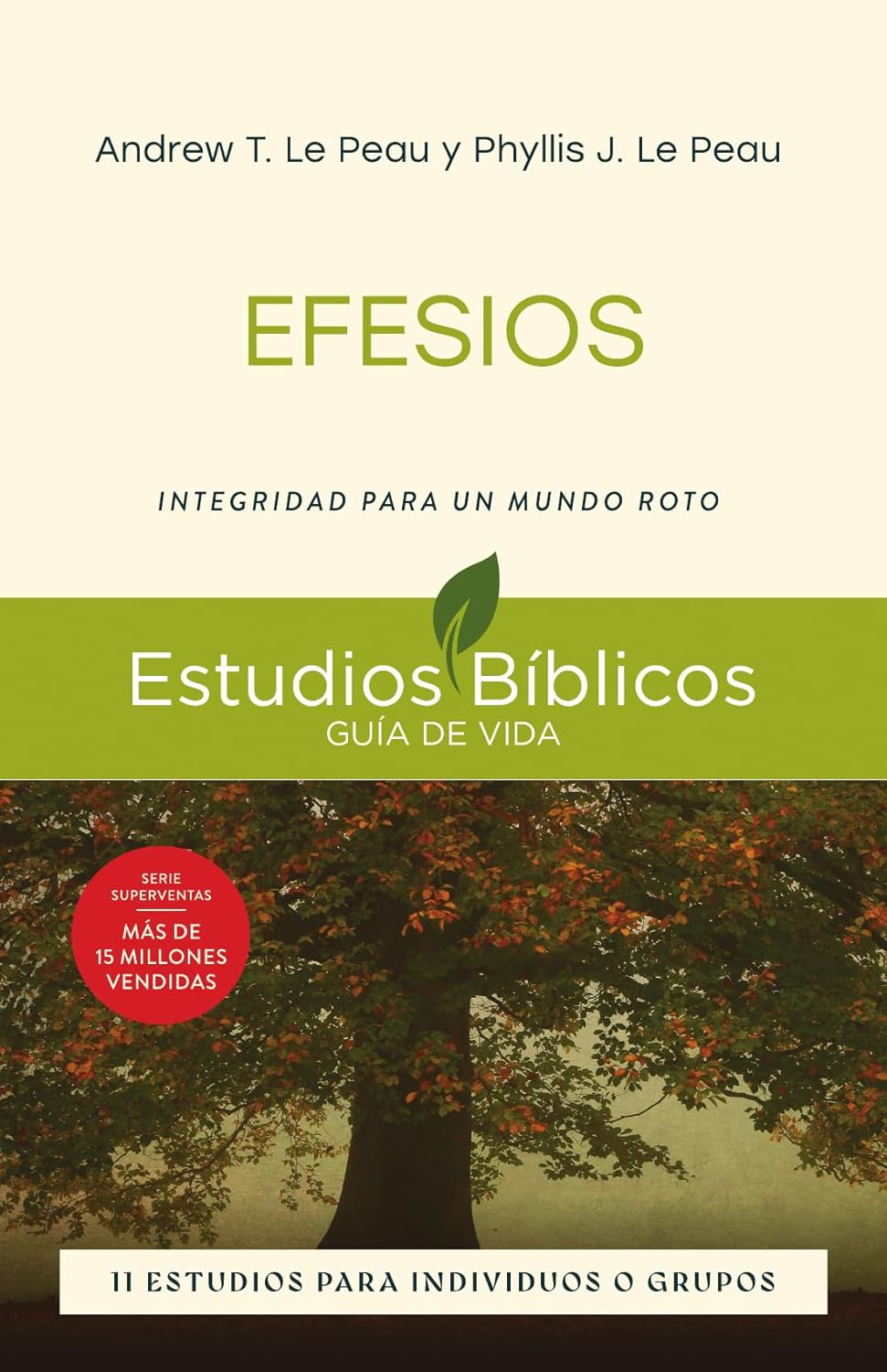 Efesios: Integridad para un Mundo Roto