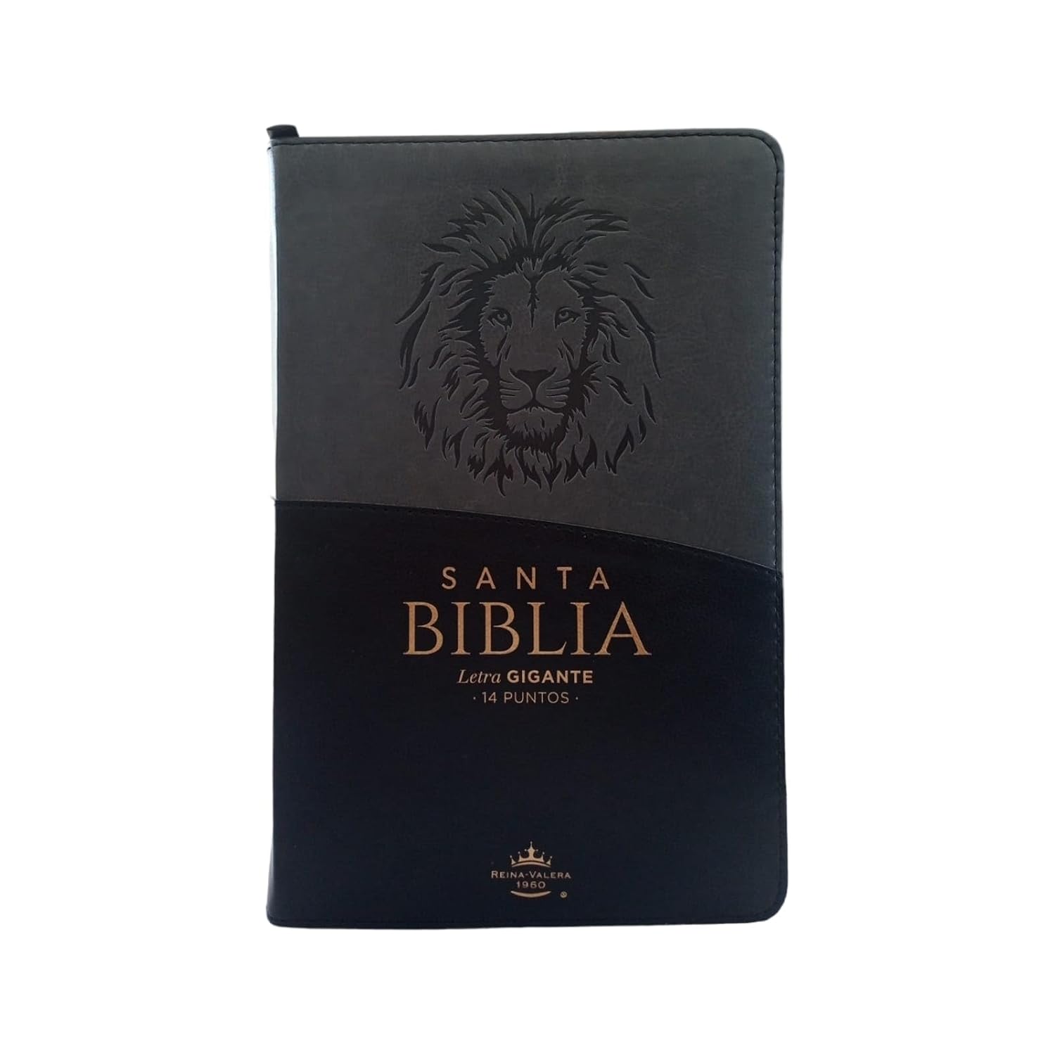 RVR 1960 Biblia Letra Gigante León