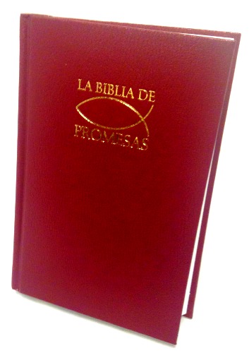 RVR 1960 Biblia de Promesas con Concordancia