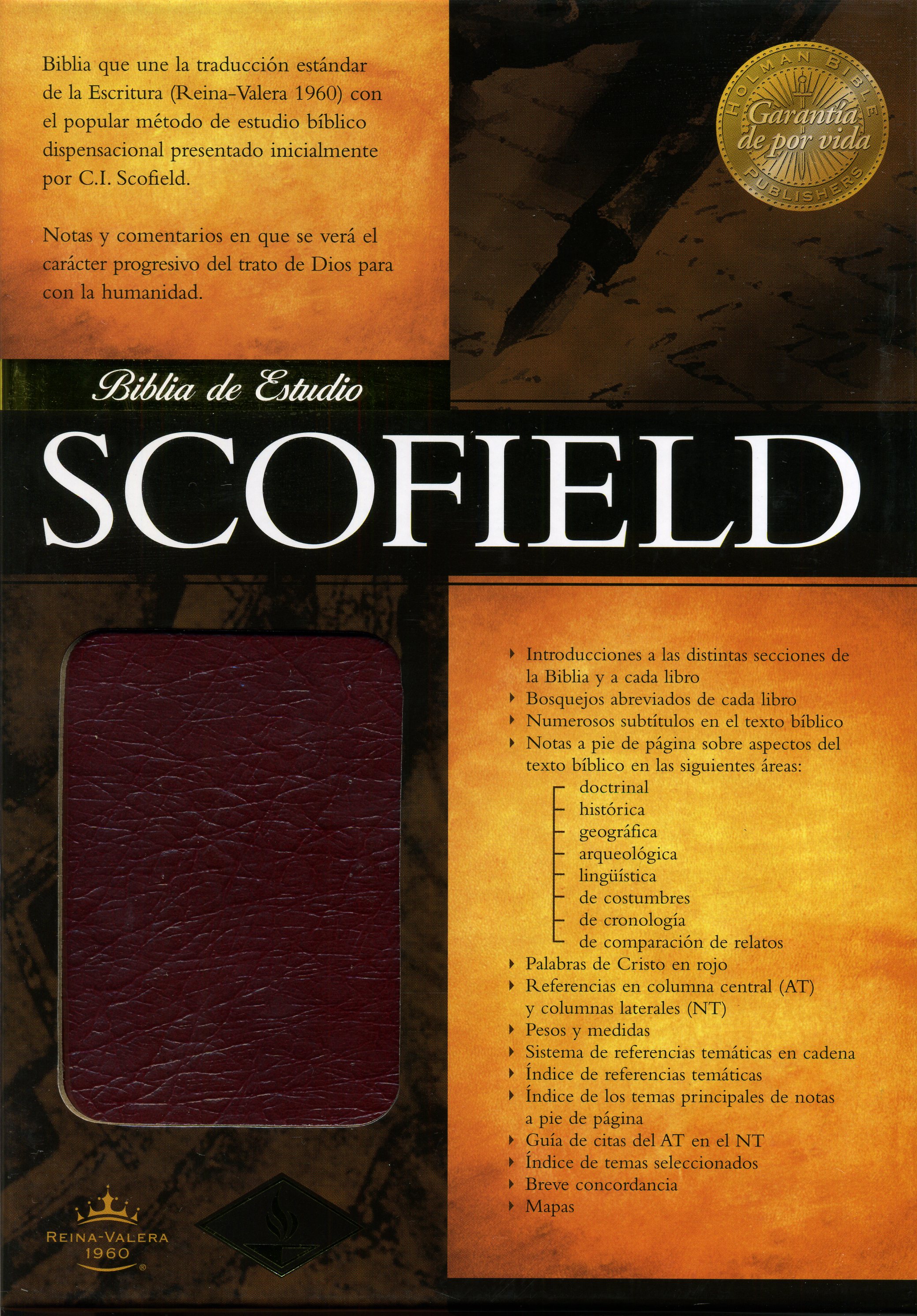 RVR60 Biblia Scofield De Estudio